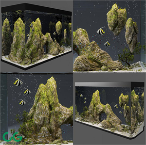 Aquarium with rocks and moss